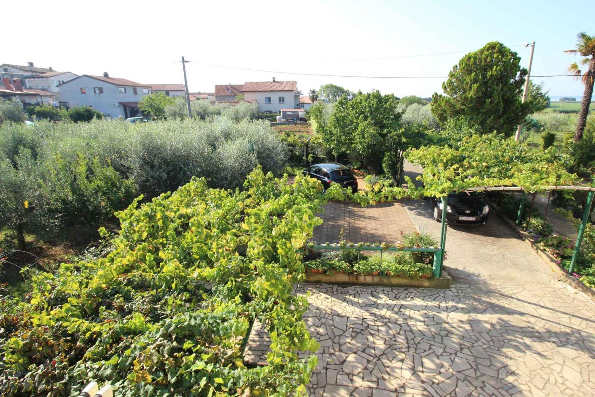 Apartments In Novigrad - Istrien 46738 Karpinjan Kültér fotó